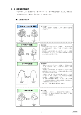 3－3 主な樹種のせん定例(PDF文書)