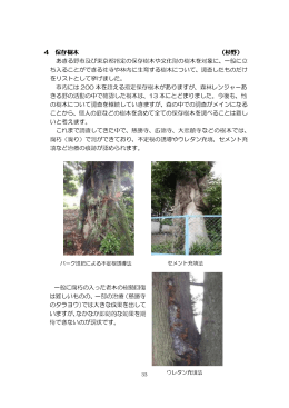 4 保存樹木 （杉野） あきる野市及び東京都指定の保存樹木や文化財の