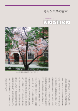 キャンパスの樹木 ［PDF 460KB］