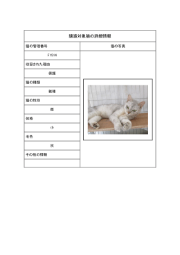 譲渡猫F1514～F1517 (PDF:245KB)