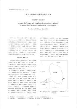 伊豆大島沿岸で採集されたサケ [504KB pdfファイル]