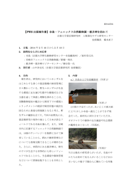 【PWS 出張報告書】幸島・フェニックス自然動物園・都井岬を訪れて