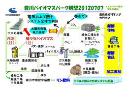 豊川バイオマスパーク構想20120707