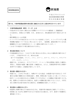 平成27年6月4日 報道発表資料（PDF形式 101 キロバイト）