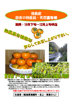 徳島産 田舎の特産品・天然富有柿