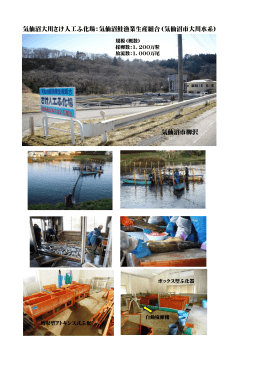 気仙沼大川さけ人工ふ化場：気仙沼鮭漁業生産組合（気仙沼市大川水系
