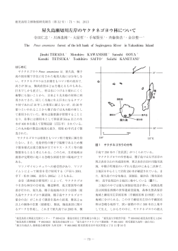 屋久島瀬切川左岸のヤクタネゴヨウ林について（PDF：2883KB）