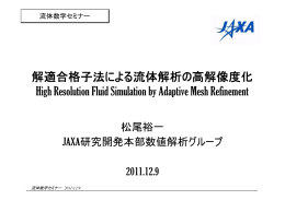 解適合格子法による流体解析の高解像度化 High Resolution Fluid