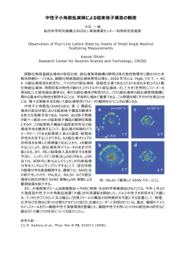 中性子小角散乱実験による磁束格子構造の観測