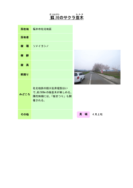 4福井：狐川のサクラ並木（PDF形式 80キロバイト）