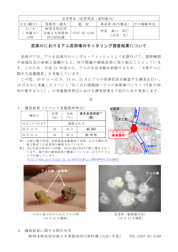 平成23年度武庫川におけるアユ産卵場のモニタリング調査結果について