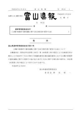 （富山選挙区）の収支報告書要旨(PDF:251KB)