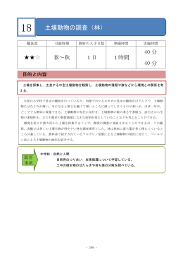 土壌動物の調査（林）