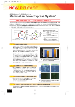 Mammalian PowerExpress System