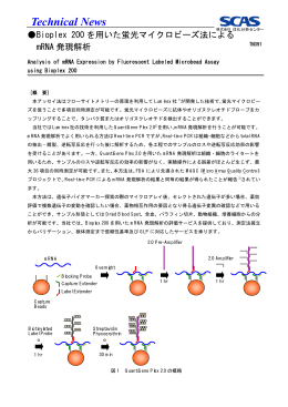 Bioplex 200を用いた蛍光マイクロビーズ法によるmRNA発現解析