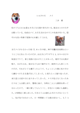 2012年9月1日土曜日 犬 MAY 三井 環 小論文