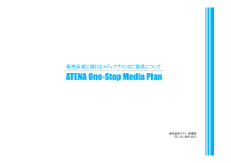 ATENA One-Stop Media Plan
