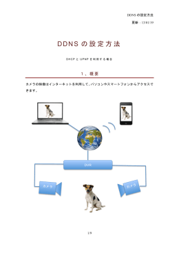 DDNS の設定方法