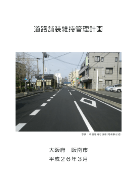 道路舗装維持管理計画（PDF：672.8KB）