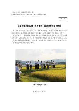 酒造用掛米新品種「京の輝き」の現地検討会を開催（PDF：229KB）