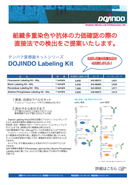 DOJINDO Labeling Kit 組織多重染色や抗体の力価