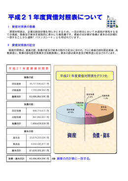 平成21年度 貸借対照表について(PDF版)