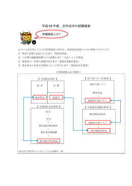 平成25年度財務諸表の解説(PDF文書)