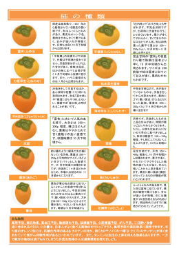 柿 の 種 類
