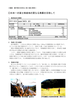 日本一の富士柿産地の更なる発展を目指して（PDF：257KB）
