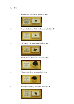 5.- 隕石 1 Tatahouine, Achondrite Diogenite 隕石 2 Mundrabilla, Iron