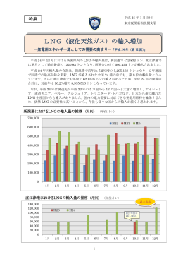 LNG（液化天然ガス）の輸入増加