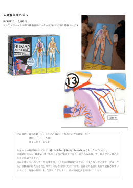 人体解剖図パズル - ケーアンドエイチ