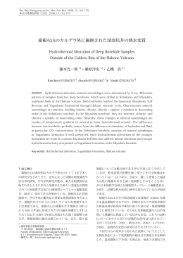 K. Fujimoto et al.: Hydrothermal Alteration of Deep Borehole