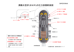 沸騰水型炉(BWR)の圧力容器断面図