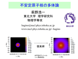 講義ノート1「中性子ハロー核の構造」