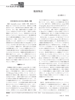 麹菌物語 - 公益社団法人 日本生物工学会