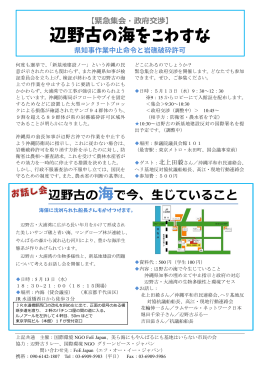 チラシ（PDF） - 国際環境NGO FoE Japan