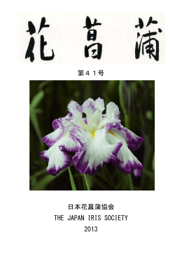 第41号 （仮）肥後系がよい 日本花菖蒲協会 THE JAPAN IRIS