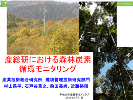 産総研における森林炭素 循環モニタリング
