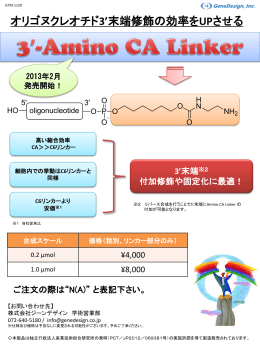 3`-Amino CA Linker