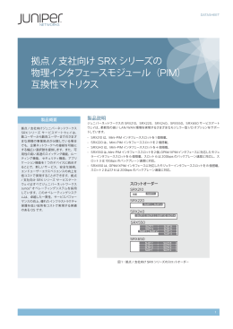 拠点 / 支社向け SRX シリーズの 物理インタフェース