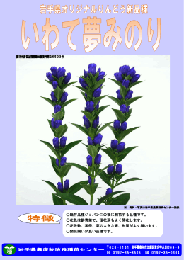 既存品種ジョバンニの後に開花する品種です。 花色は鮮青紫で、頂花房