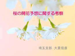 桜の開花予想に関する考察