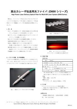高出力レーザ伝送用光ファイバ(D600 シリーズ)（PDF）