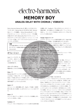MEMORY BOY