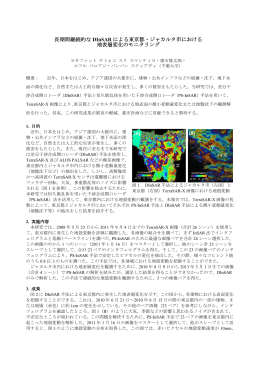 長期間継続的な DInSAR による東京都・ジャカルタ市における 地表層