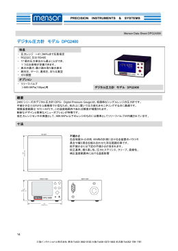 デジタル圧力計 モデル DPG2400