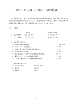 平成26年度6月補正予算の概要 [146KB PDF]