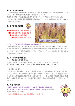 ダイシモチ麦について [PDFファイル／1.5MB]