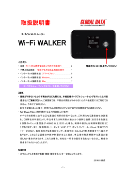 Wi-Fi WALKER